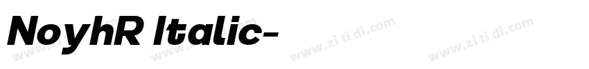 NoyhR Italic字体转换 NoyhR Italic字体转换